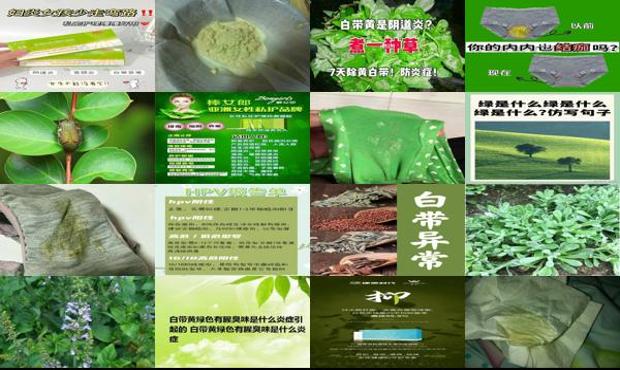 汕头绿色白带