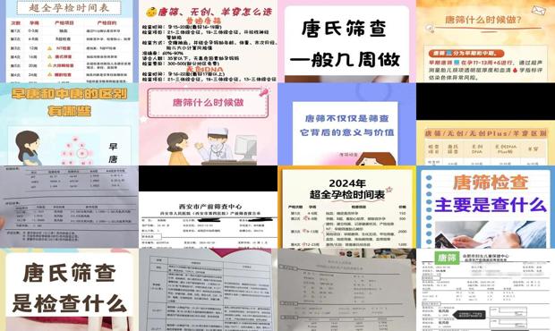 汕头怀孕几个月可以查唐筛